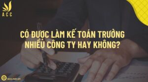 Có được làm kế toán trưởng nhiều công ty hay không