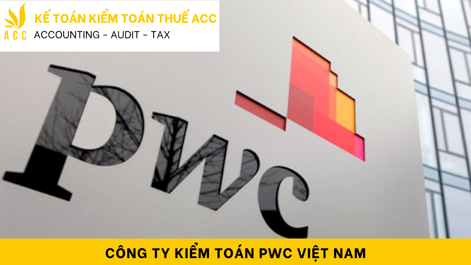 Công ty Kiểm toán PwC Việt Nam