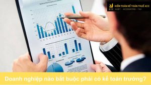 Doanh nghiệp nào bắt buộc phải có kế toán trưởng