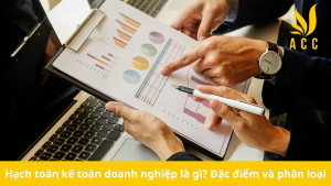 Hạch toán kế toán doanh nghiệp là gì? Đặc điểm và phân loại