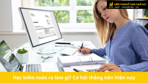 học kiểm toán ra làm gì ?