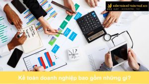 Kế toán doanh nghiệp bao gồm những gì