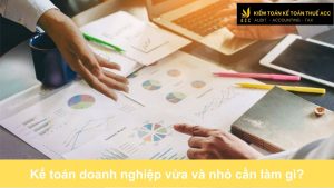 Kế toán doanh nghiệp vừa và nhỏ cần làm gì