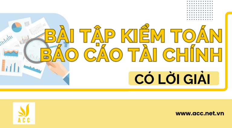 Bài Tập Kiểm Toán Báo Cáo Tài Chính Có đáp án