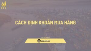 Cách định khoản mua hàng