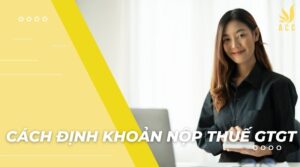 Cách định khoản nộp thuế gtgt