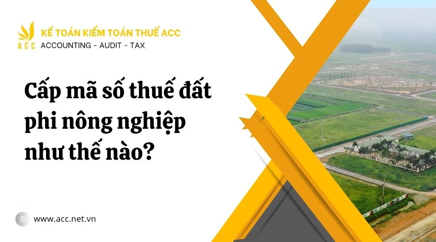 Cấp mã số thuế đất phi nông nghiệp