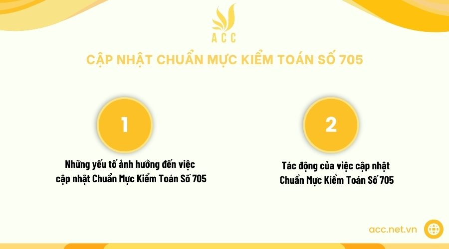 Cập nhật chuẩn mực kiểm toán số 705