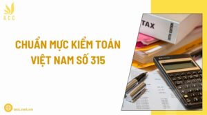 Chuẩn mực kiểm toán việt nam số 315