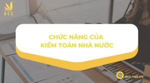 Chức năng của kiểm toán nhà nước