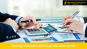 Chương trình kiểm toán là gì Đặc điểm cụ thế