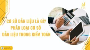 Cơ sở dẫn liệu là gì Phân loại cơ sở dẫn liệu trong kiểm toán