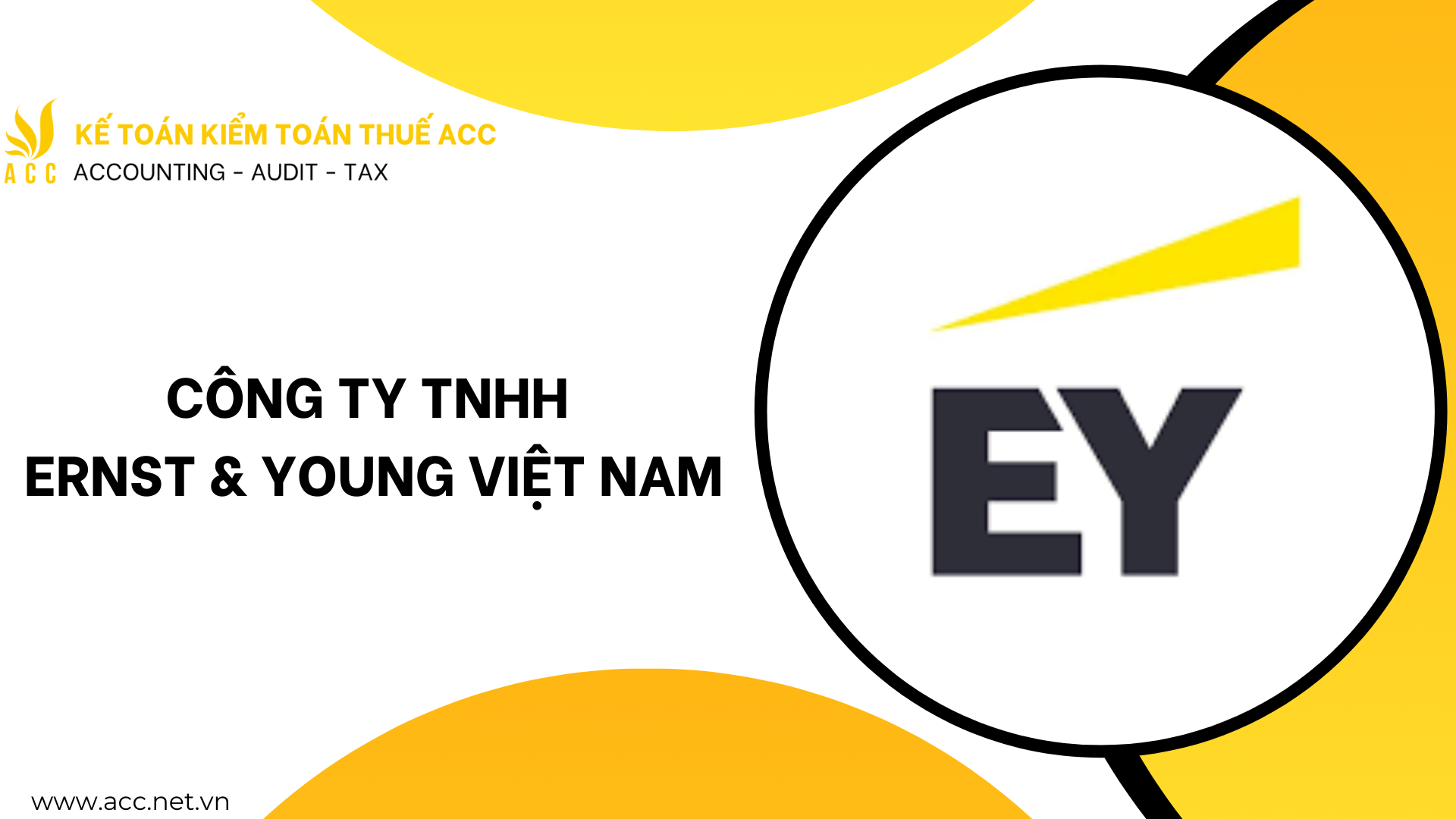 Công Ty TNHH Ernst & Young Việt Nam