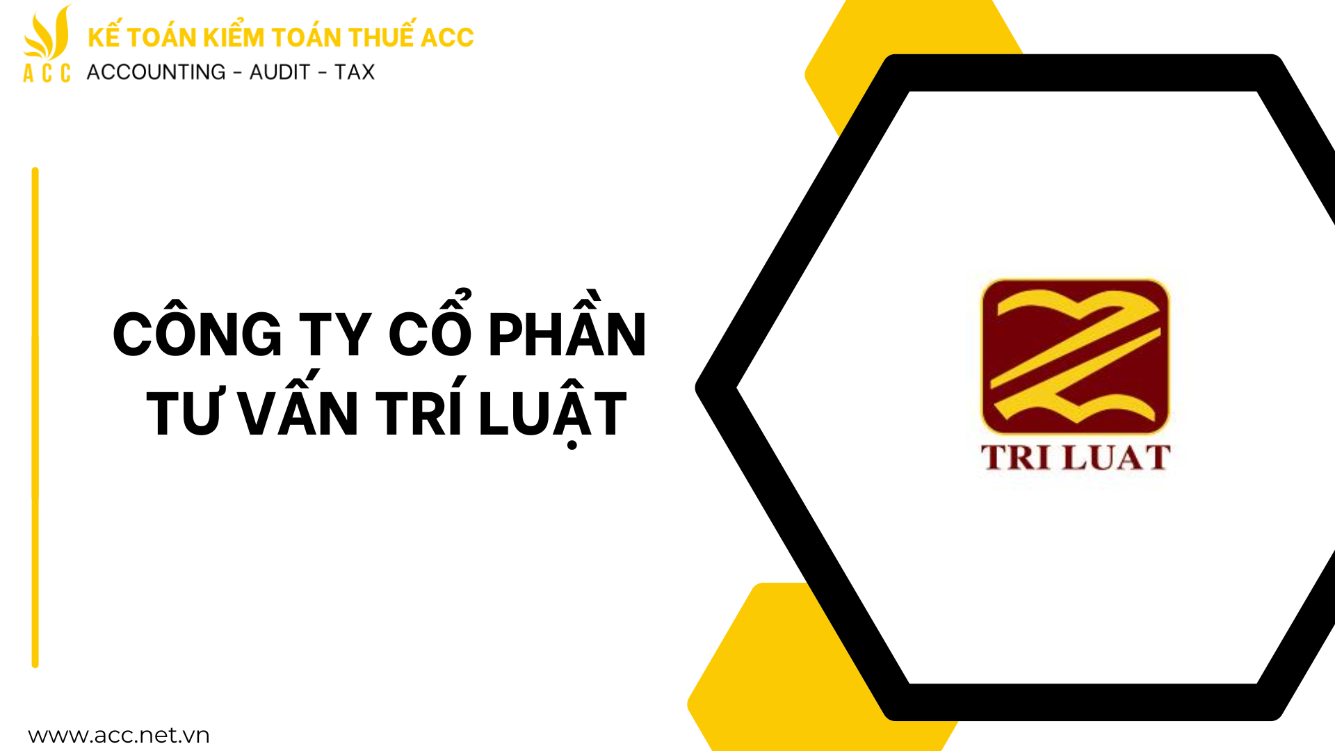 Công ty Cổ phần Tư vấn Trí Luật