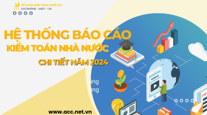 Hệ thống báo cáo kiểm toán nhà nước chi tiết năm 2024