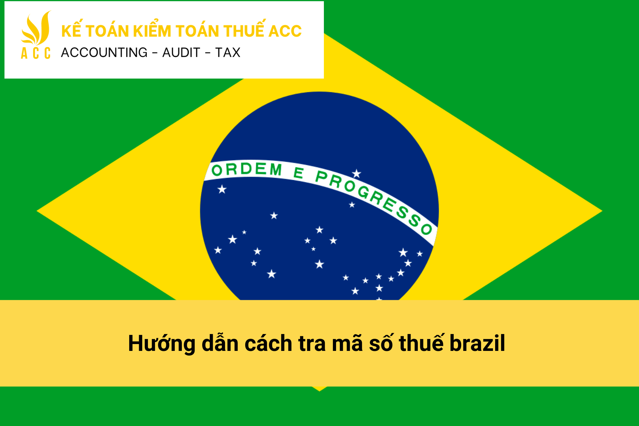 Hướng dẫn cách tra mã số thuế brazil