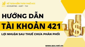 Hướng dẫn tài khoản 421 - Lợi nhuận sau thuế chưa phân phối