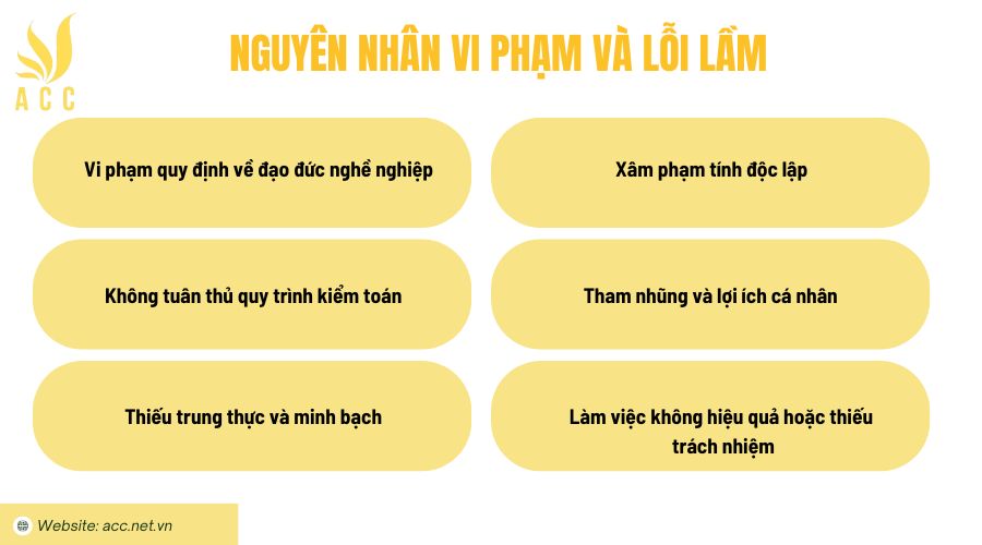 Nguyên nhân vi phạm và lỗi lầm 