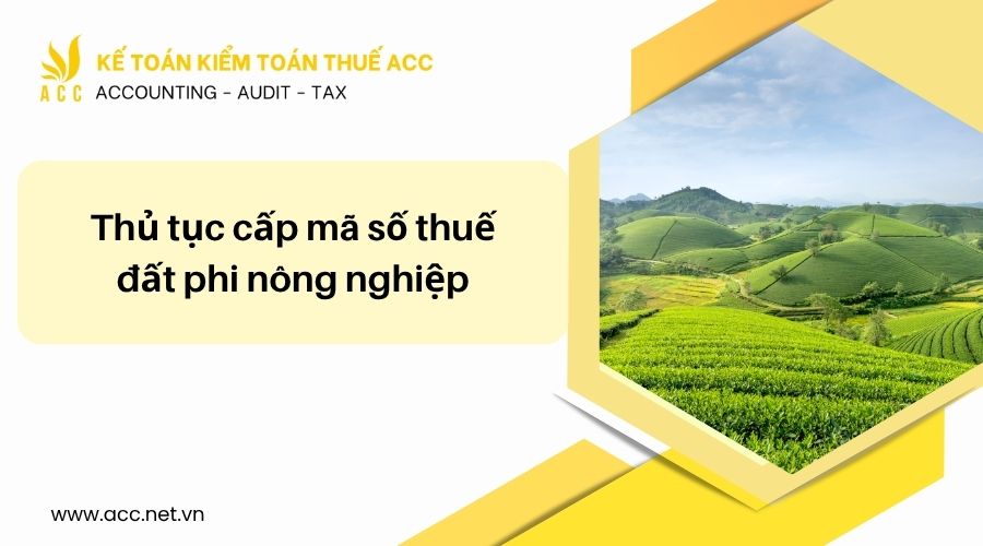 Cấp mã số thuế đất phi nông nghiệp