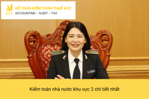 Kiểm toán nhà nước khu vực 2