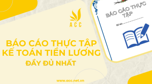 Báo cáo thực tập kế toán tiền lương đầy đủ nhất