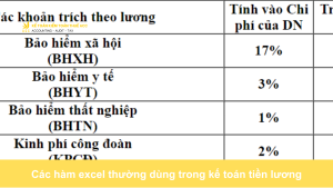 Các hàm excel thường dùng trong kế toán tiền lươngCác hàm excel thường dùng trong kế toán tiền lương