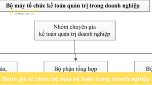 Đánh giá tổ chức bộ máy kế toán trong doanh nghiệp