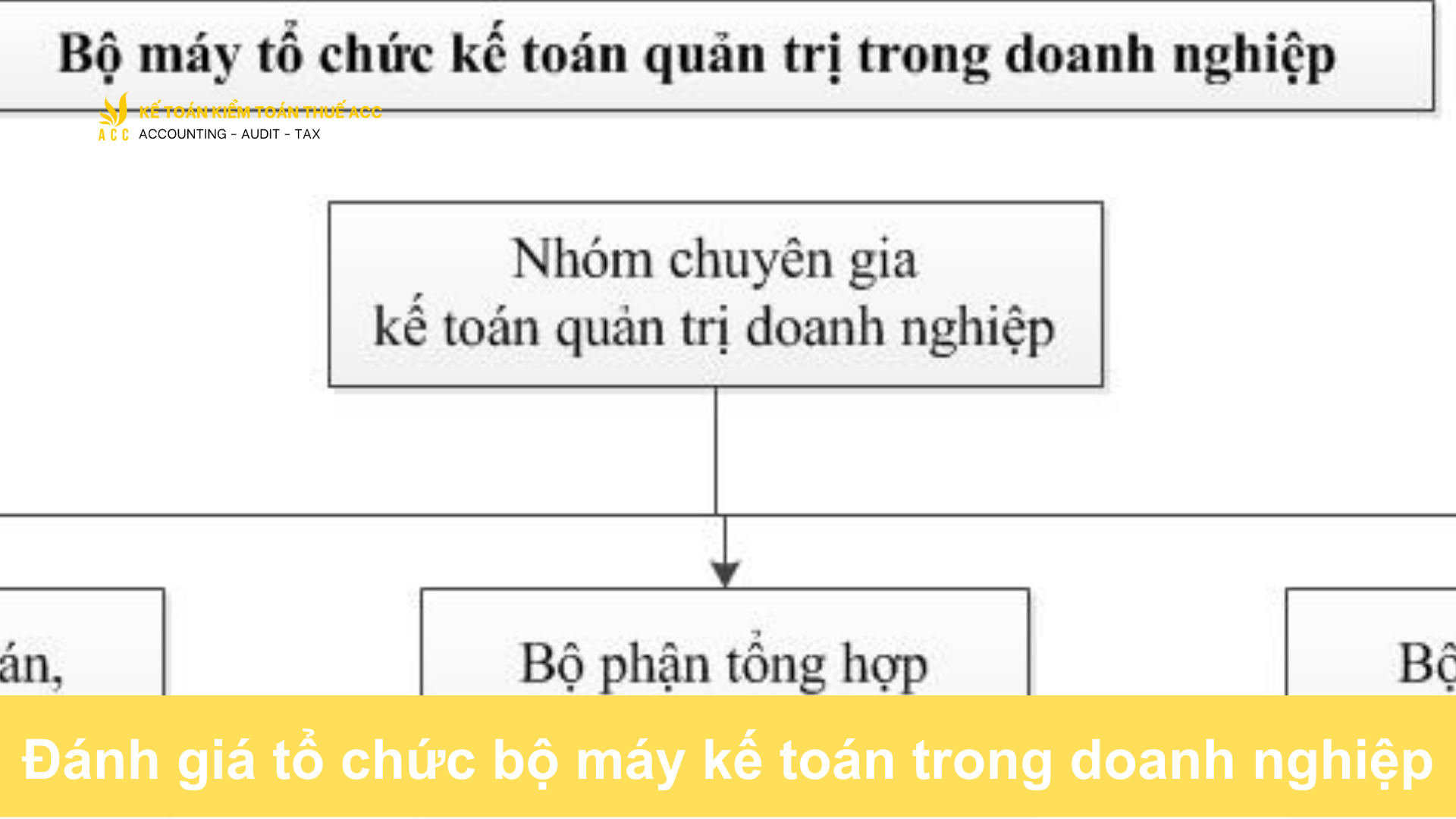 Đánh giá tổ chức bộ máy kế toán trong doanh nghiệp