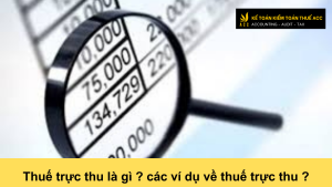 Thuế trực thu là gì ? các ví dụ về thuế trực thu ?