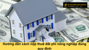 Hướng dẫn cách nộp thuế đất phi nông nghiệp đúng quy định