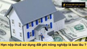 Hạn nộp thuế sử dụng đất phi nông nghiệp là bao lâu ?