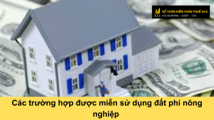 miễn sử dụng đất phi nông nghiệp