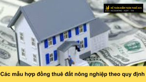 Các mẫu hợp đồng thuê đất nông nghiệp theo quy định