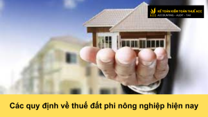 Các quy định về thuế đất phi nông nghiệp hiện nay