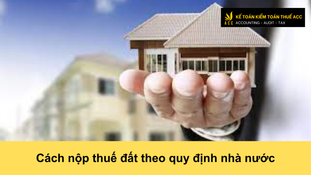 Cách nộp thuế đất theo quy định nhà nước