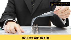 luật kiểm toán độc lập