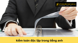 kiểm toán độc lập trong tiếng anh