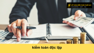 kiểm toán độc lập