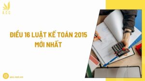 Điều 16 Luật Kế Toán 2015 mới nhất