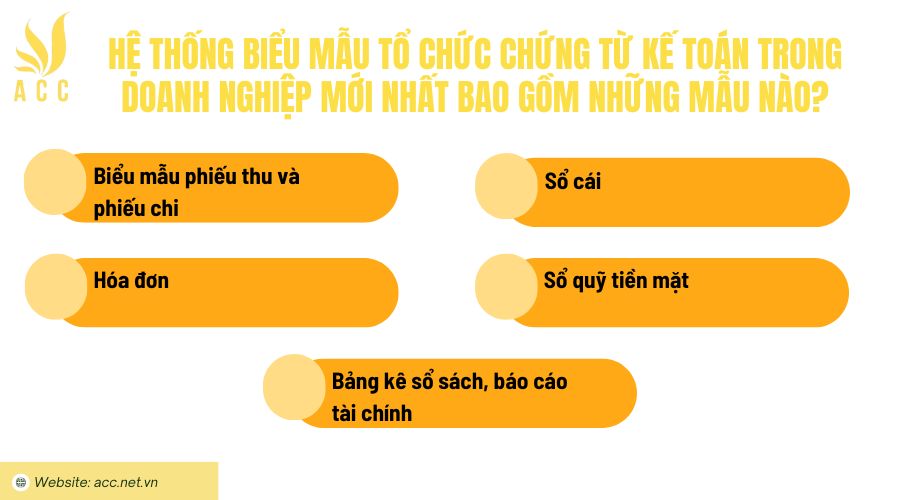 Hệ thống biểu mẫu tổ chức chứng từ kế toán trong doanh nghiệp mới nhất bao gồm những mẫu nào