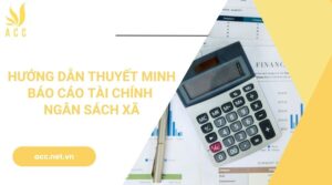 Hướng dẫn thuyết minh báo cáo tài chính ngân sách xã