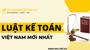 LUẬT KẾ TOÁN VIỆT NAM MỚI NHẤT