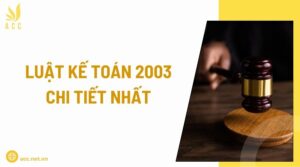 Luật kế toán 2003 chi tiết nhất