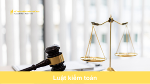 Luật kiểm toán