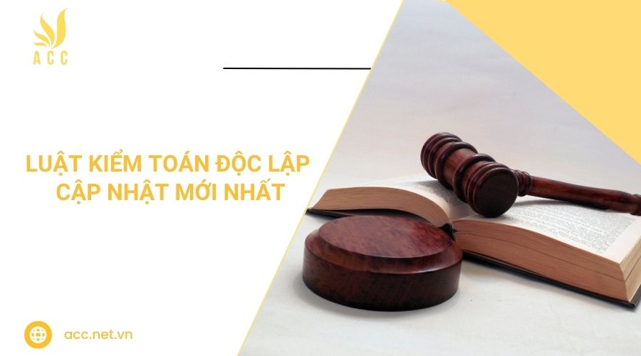 Luật kiểm toán độc lập cập nhật mới nhất