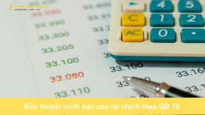 Mẫu thuyết minh báo cáo tài chính theo QĐ 15