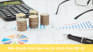 Mẫu thuyết minh báo cáo tài chính theo QĐ 48