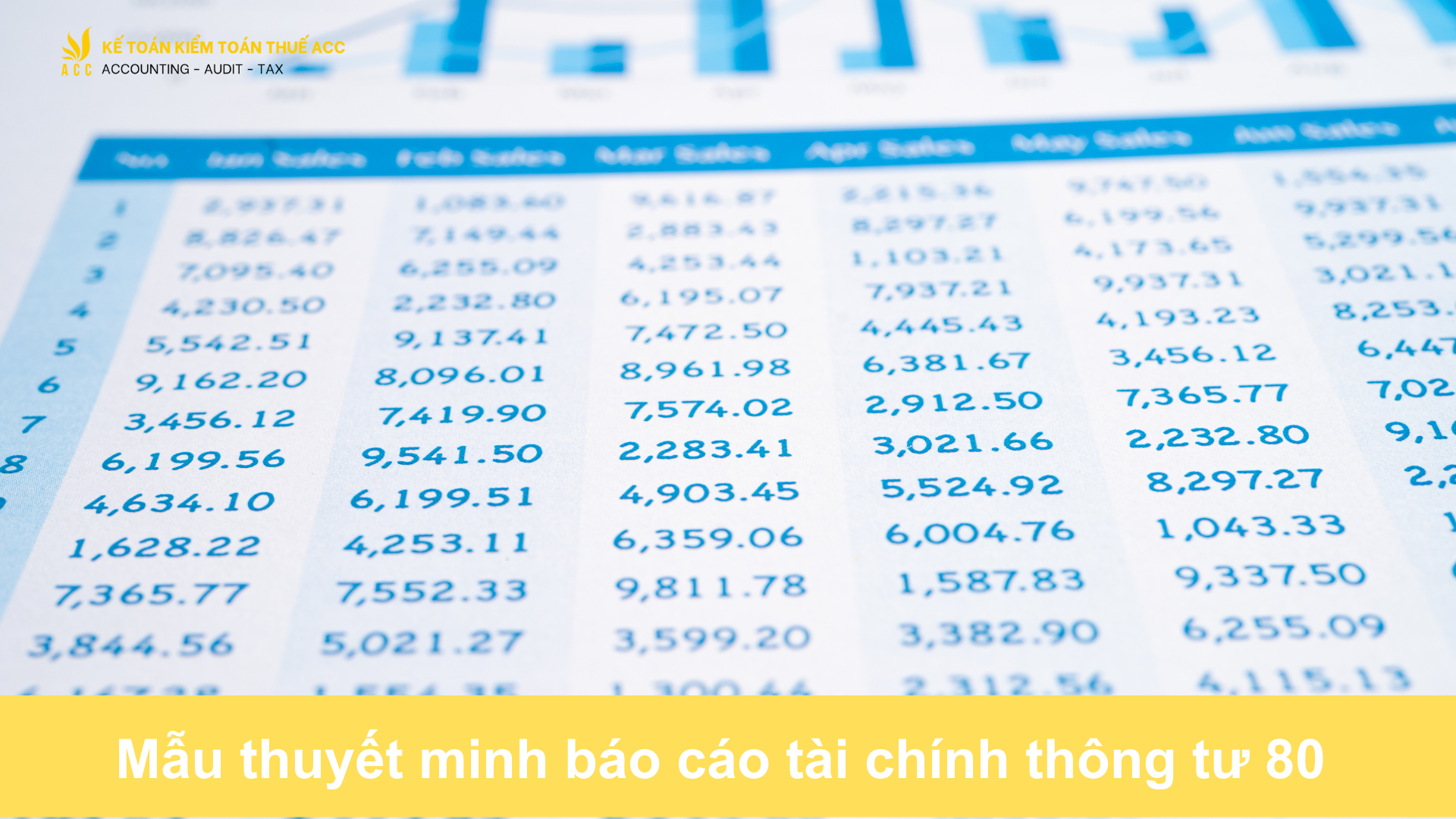 Mẫu thuyết minh báo cáo tài chính thông tư 80