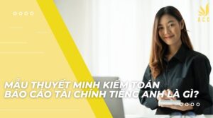 Mẫu thuyết minh kiểm toán báo cáo tài chính tiếng anh là gì