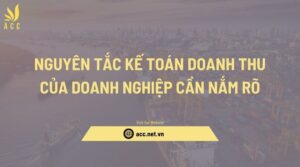 Nguyên tắc kế toán doanh thu của doanh nghiệp cần nắm rõ